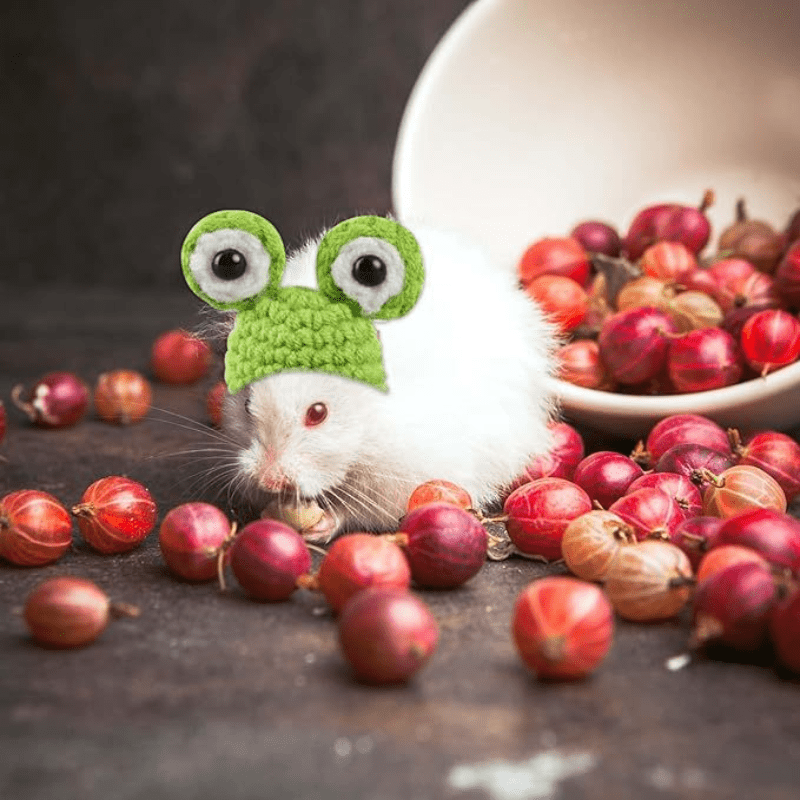 4-Pack Handmade Crochet Animal Hats for Hamsters, Small Pets and Reptiles - Polyester Cozy Caps with Cute Ear and Eye Accents for Christmas and Winter Season