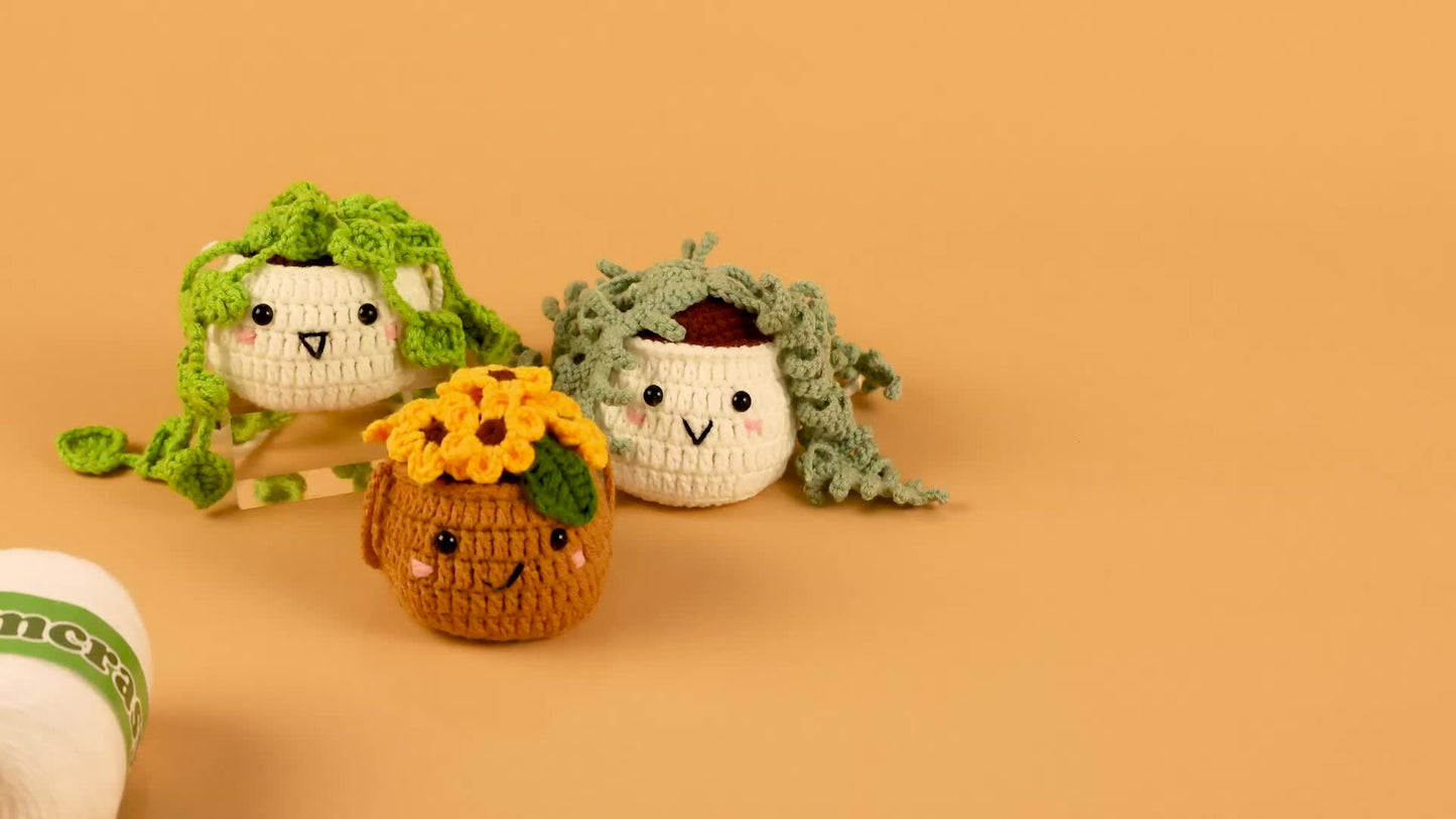Crochet Kit | Crochet Kit for Beginners | Emotional Support Succulent Crochet & Knitting Kit with Step by Step Video Lessons | 6 PC Succulent Crochet Kit with Crochet Accessories
